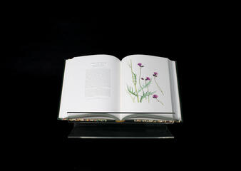 Transylvania Publication
